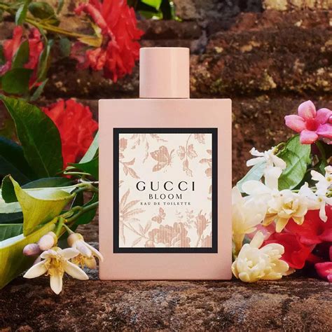 gucci blooming perfume|gucci bloom perfume smell.